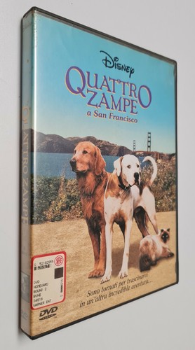 Quattro zampe san - quattro,