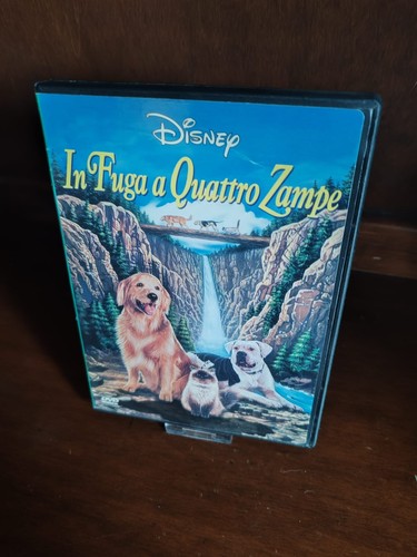 Fuga quattro zampe - in, a